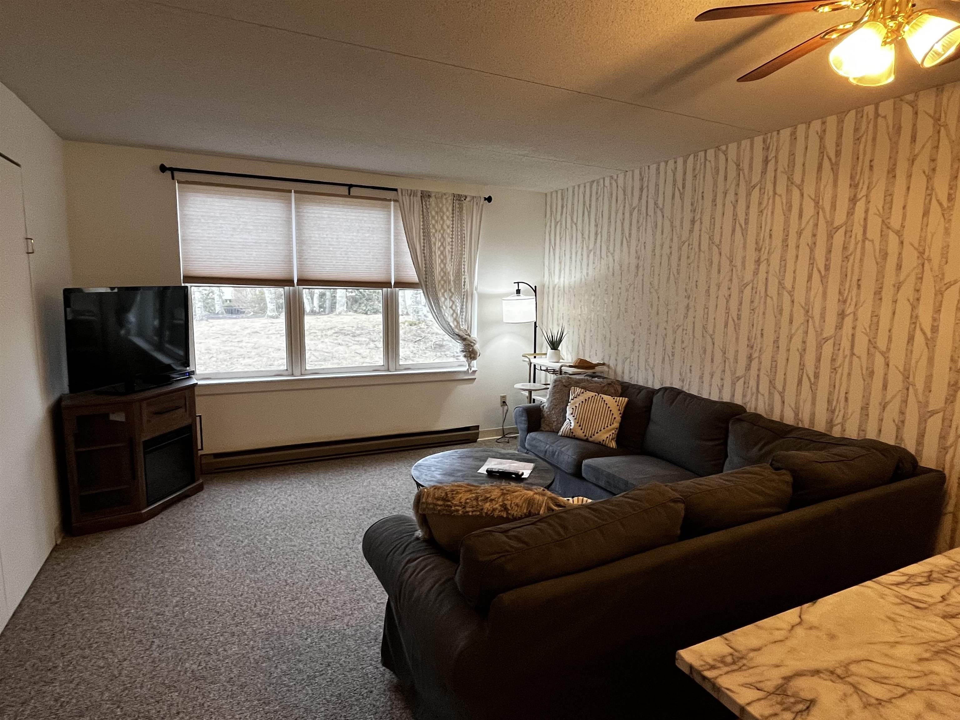 28 Packard's Road, Unit 336 Waterville Valley, NH 03215 - Photo 10 of 17
