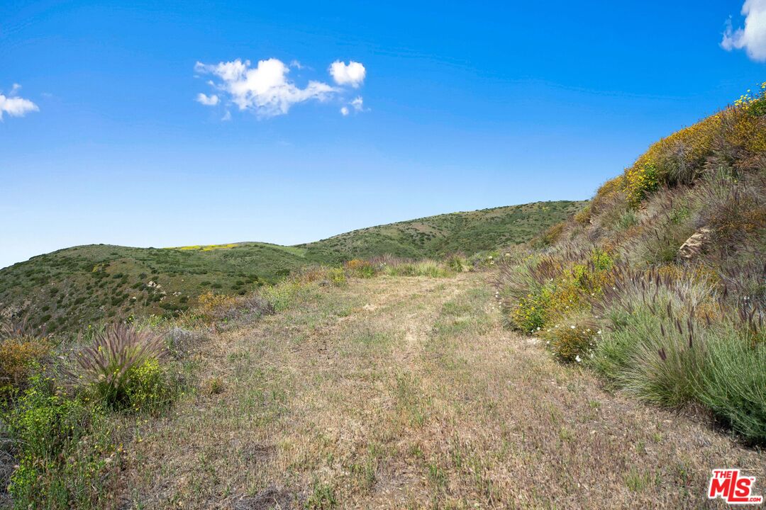 4250 Decker Edison Road Malibu, CA 90265 - Photo 15 of 19 a view of a yard with a mountain
