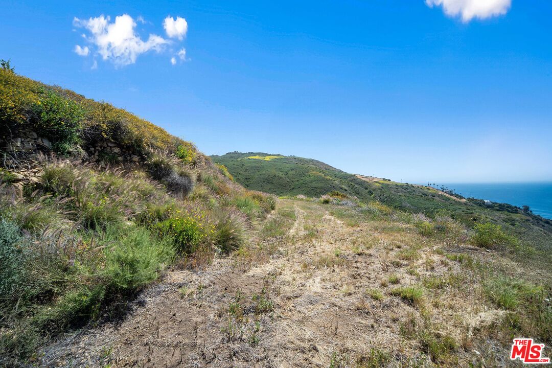 4250 Decker Edison Road Malibu, CA 90265 - Photo 16 of 19 a view of a yard with mountains in the background