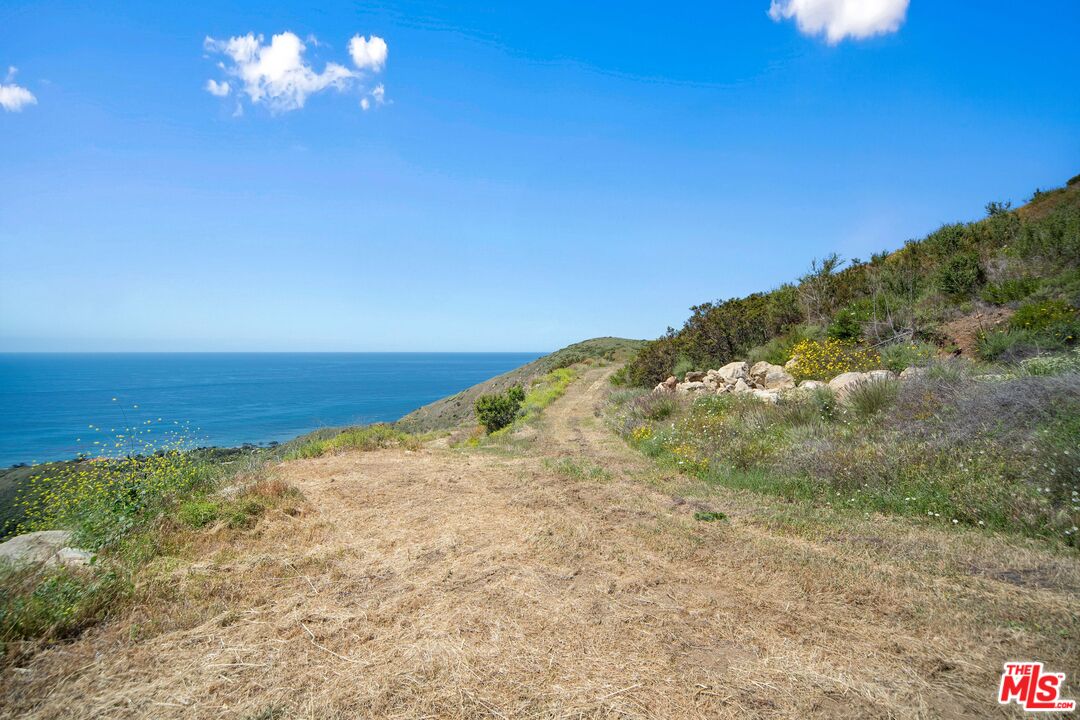 4250 Decker Edison Road Malibu, CA 90265 - Photo 19 of 25 a view of a dry yard with wooden floor and fence