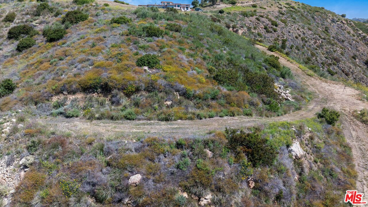 4250 Decker Edison Road Malibu, CA 90265 - Photo 23 of 25 a view of a field of grass and trees
