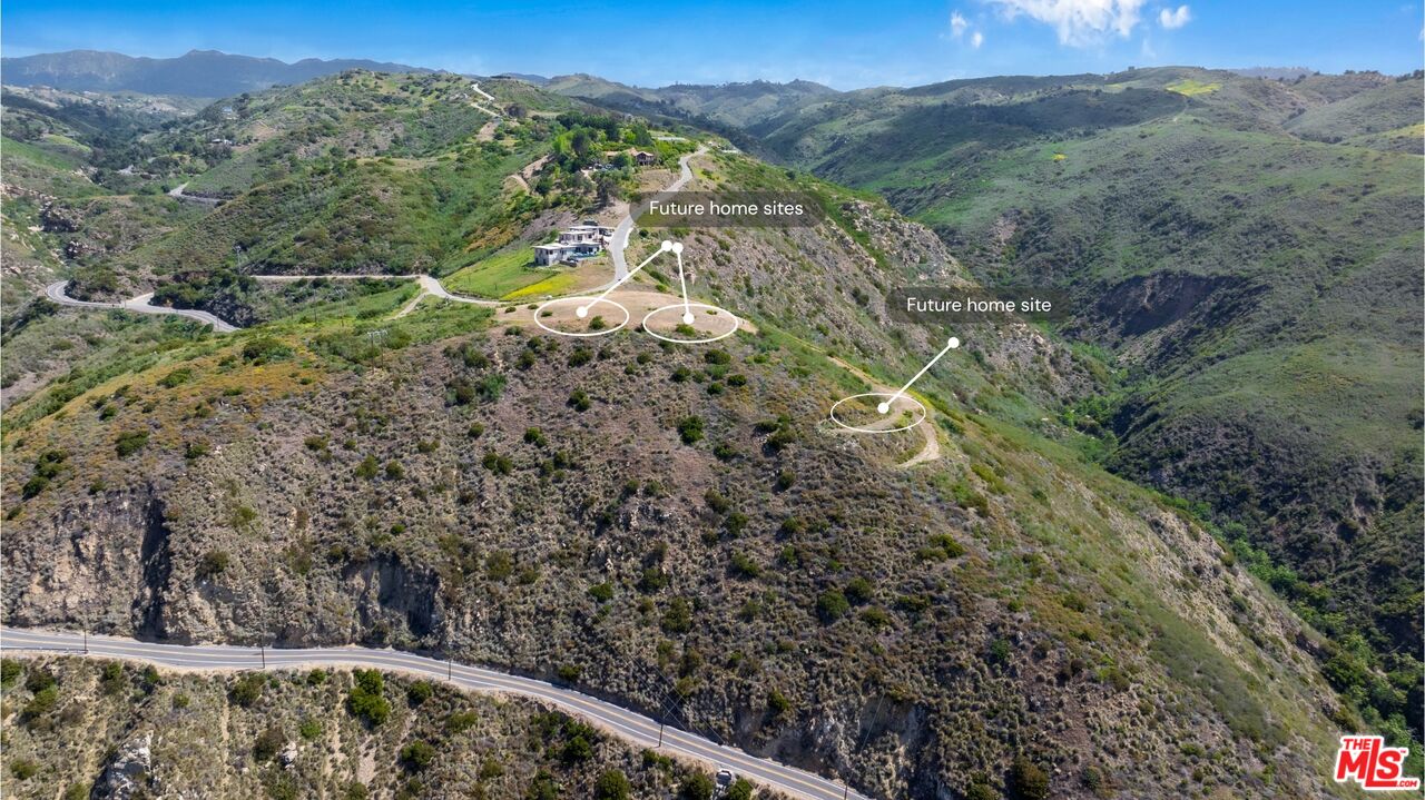 4250 Decker Edison Road Malibu, CA 90265 - Photo 4 of 25 a view of a forest with a forest