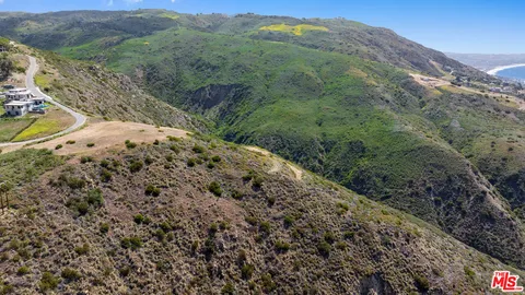 a view of a mountain with a forest