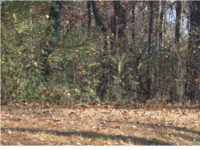 15107 May Road Sale Creek, TN 37373 - Photo 1 of 1 Primary Photo