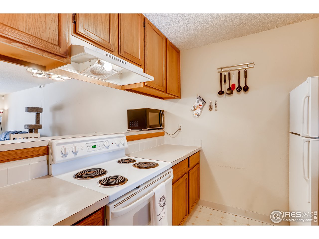 1231 West Swallow Road, Unit 311 Fort Collins, CO 80526 - Photo 15 of 28 Kitchen