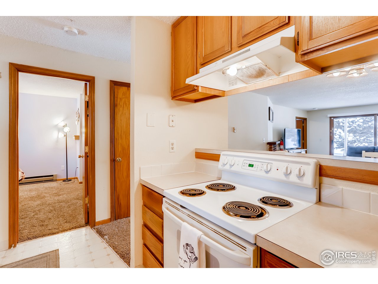 1231 West Swallow Road, Unit 311 Fort Collins, CO 80526 - Photo 16 of 28 Kitchen