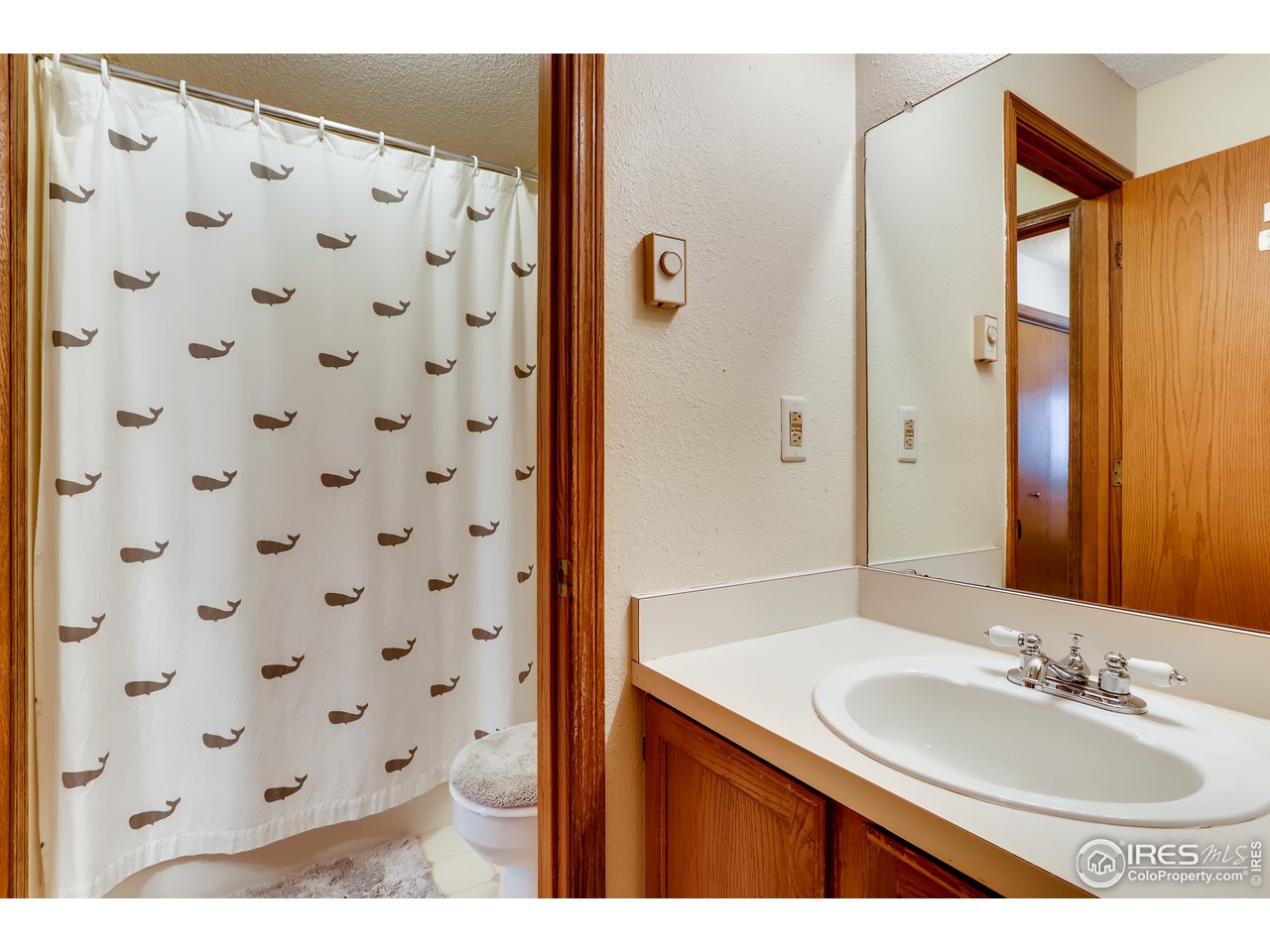 1231 West Swallow Road, Unit 311 Fort Collins, CO 80526 - Photo 22 of 28 Bathroom