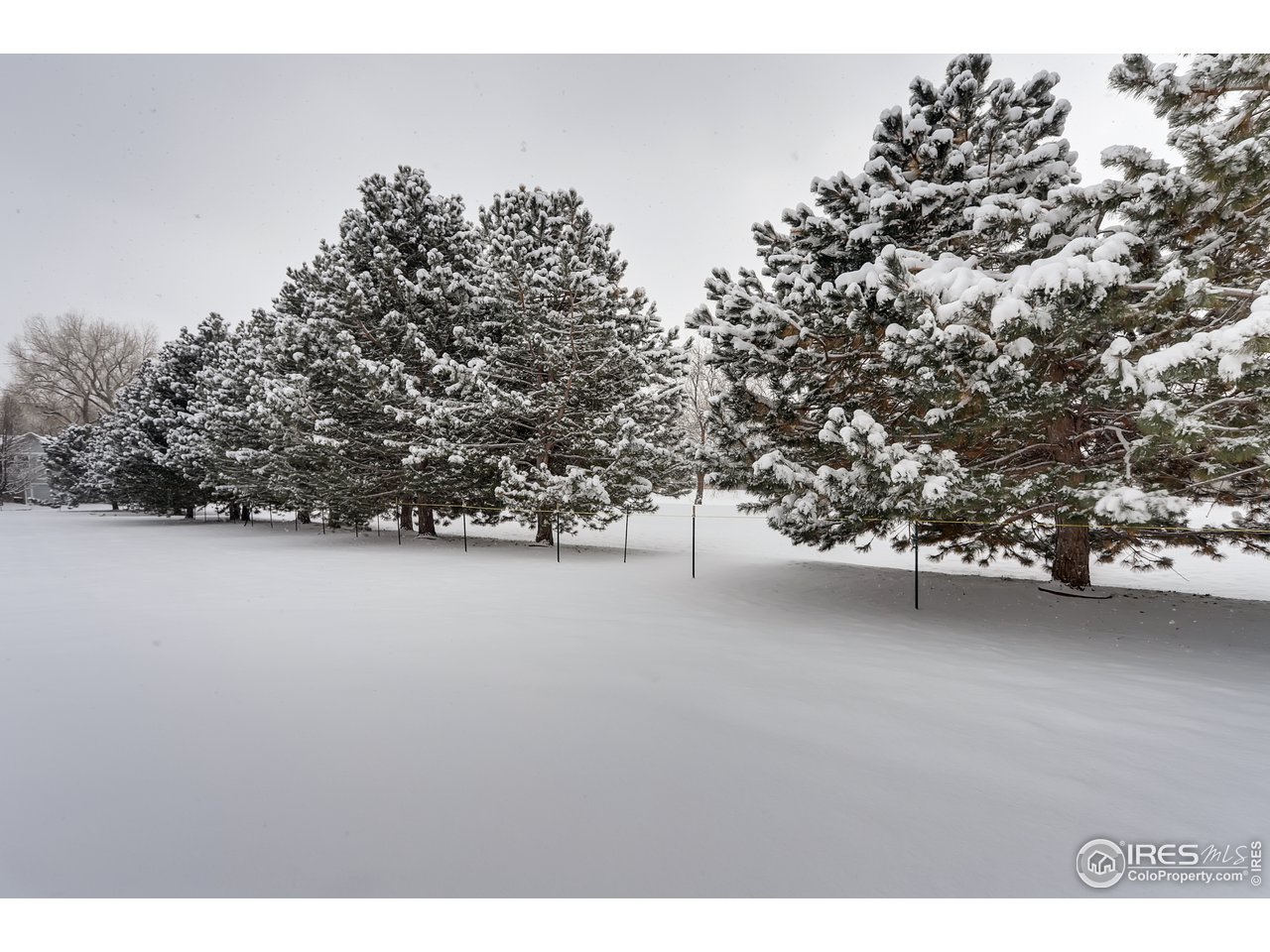 1231 West Swallow Road, Unit 311 Fort Collins, CO 80526 - Photo 27 of 28 View From Patio