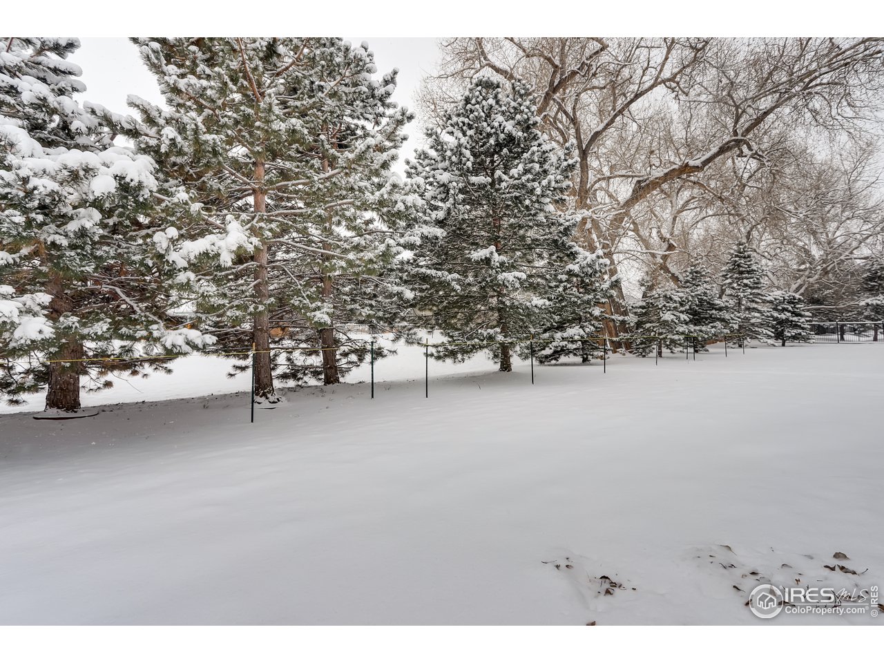 1231 West Swallow Road, Unit 311 Fort Collins, CO 80526 - Photo 28 of 28 View From Patio