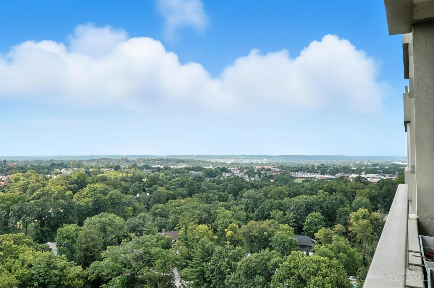 2324 Madison Road, Unit 1709 Cincinnati, OH 45208 - Photo 46 of 93 Gallery Image 46