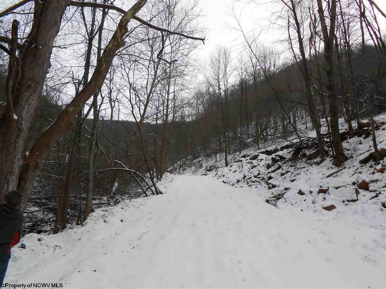 1 Pennington Road Dryfork, WV 26263 - Photo 3 of 19 Gallery Image 3