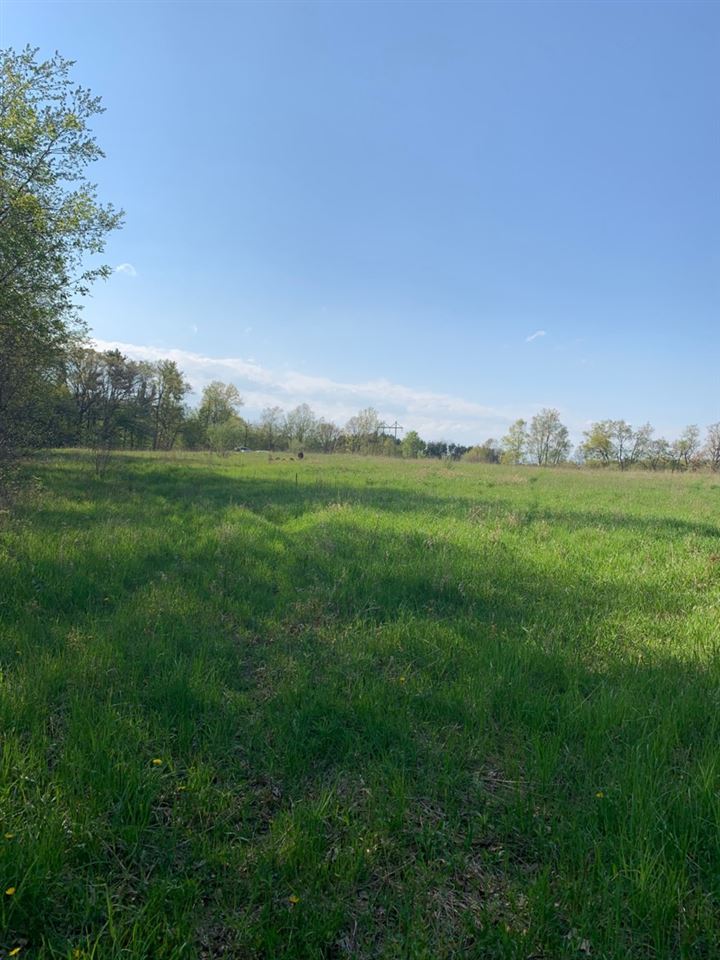 Jones Road Howell, MI 48855 - Photo 2 of 6