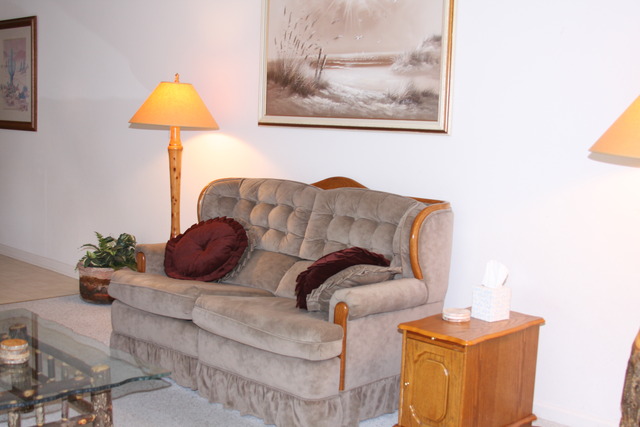 2826 Weld Road Elgin, IL 60124 - Photo 5 of 19 a living room with furniture and a lamp