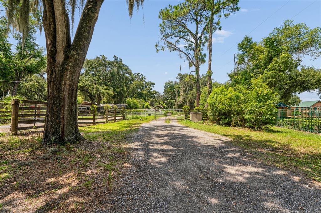 6202 Stafford Road Plant City, FL 33565 - Photo 53 of 79
