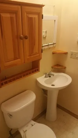 a bathroom with a sink a toilet and mirror