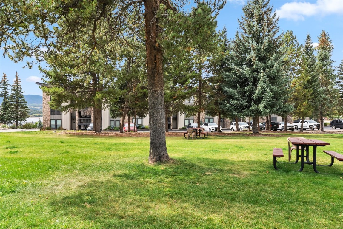 112 La Bonte Street, Unit 202 Dillon, CO 80435 - Photo 26 of 32 a garden view with a fountain