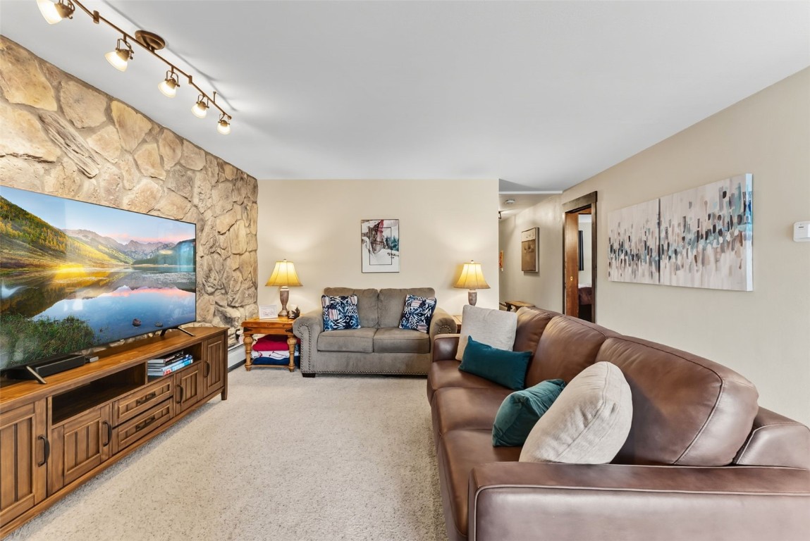 112 La Bonte Street, Unit 202 Dillon, CO 80435 - Photo 5 of 32 a living room with furniture and a flat screen tv