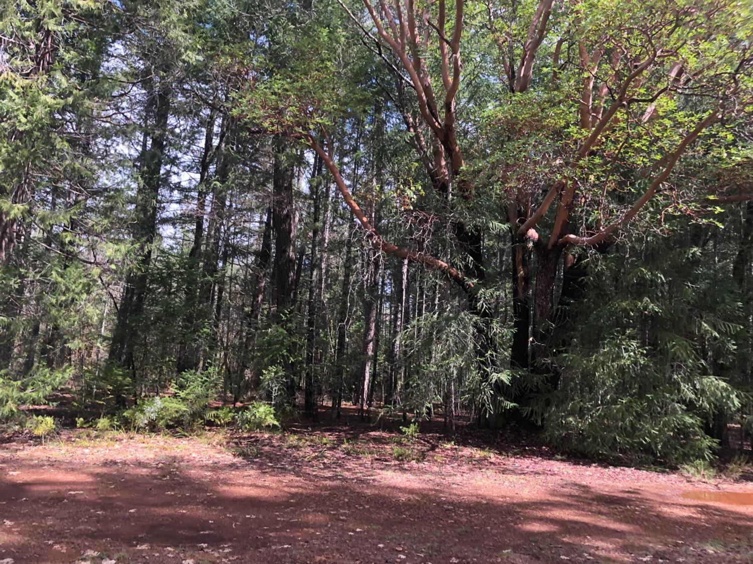 0 Lone Mountain Road, Unit TL602 O'Brien, OR 97534 - Photo 10 of 12 Additional Photo