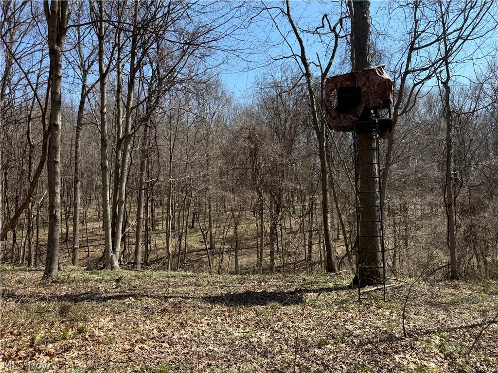 0 Kragel Road Richmond, OH 43944 - Photo 13 of 31