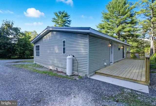 a backyard of a house with plants and tree