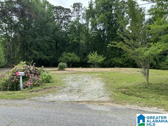 64 County Road 448 Clanton, AL 35046 - Photo 1 of 3
