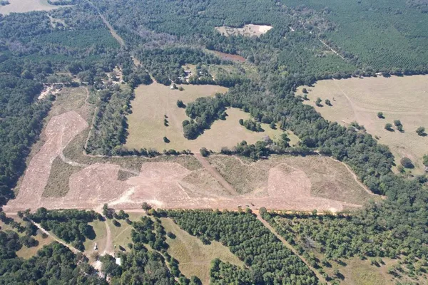 a view of a dry yard with large trees