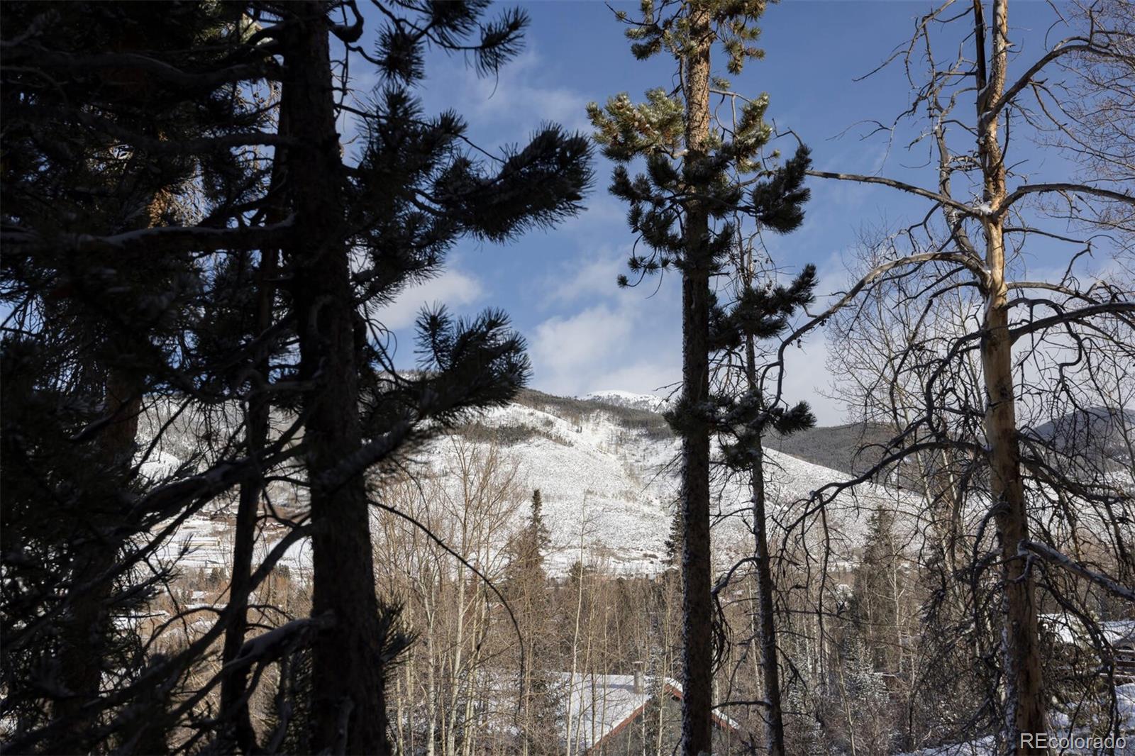 200 Evergreen Road Dillon, CO 80435 - Photo 38 of 40 Gallery Image 38