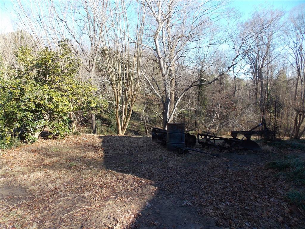 1004 Hillcroft Road Browns Summit, NC 27214 - Photo 3 of 29