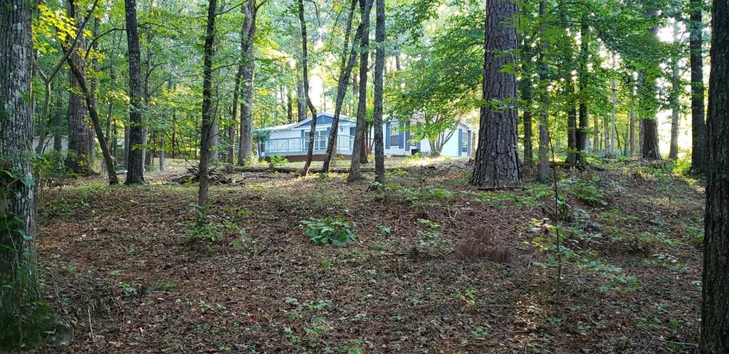 125 Sputnik Street Fortson, GA 31808 - Photo 8 of 30 a view of a forest filled with trees