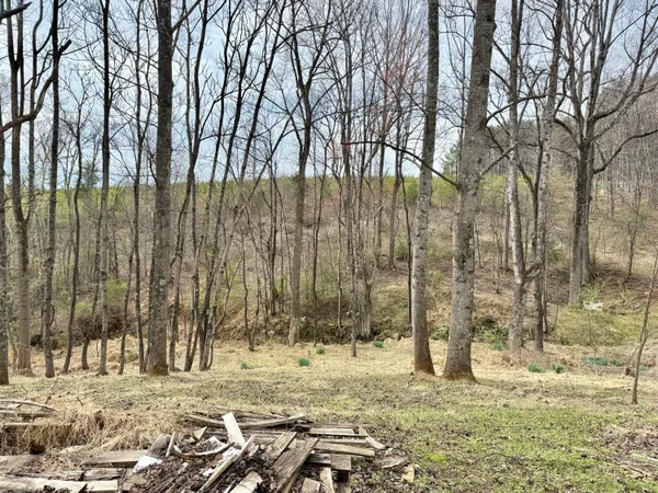 a view of a backyard of the house