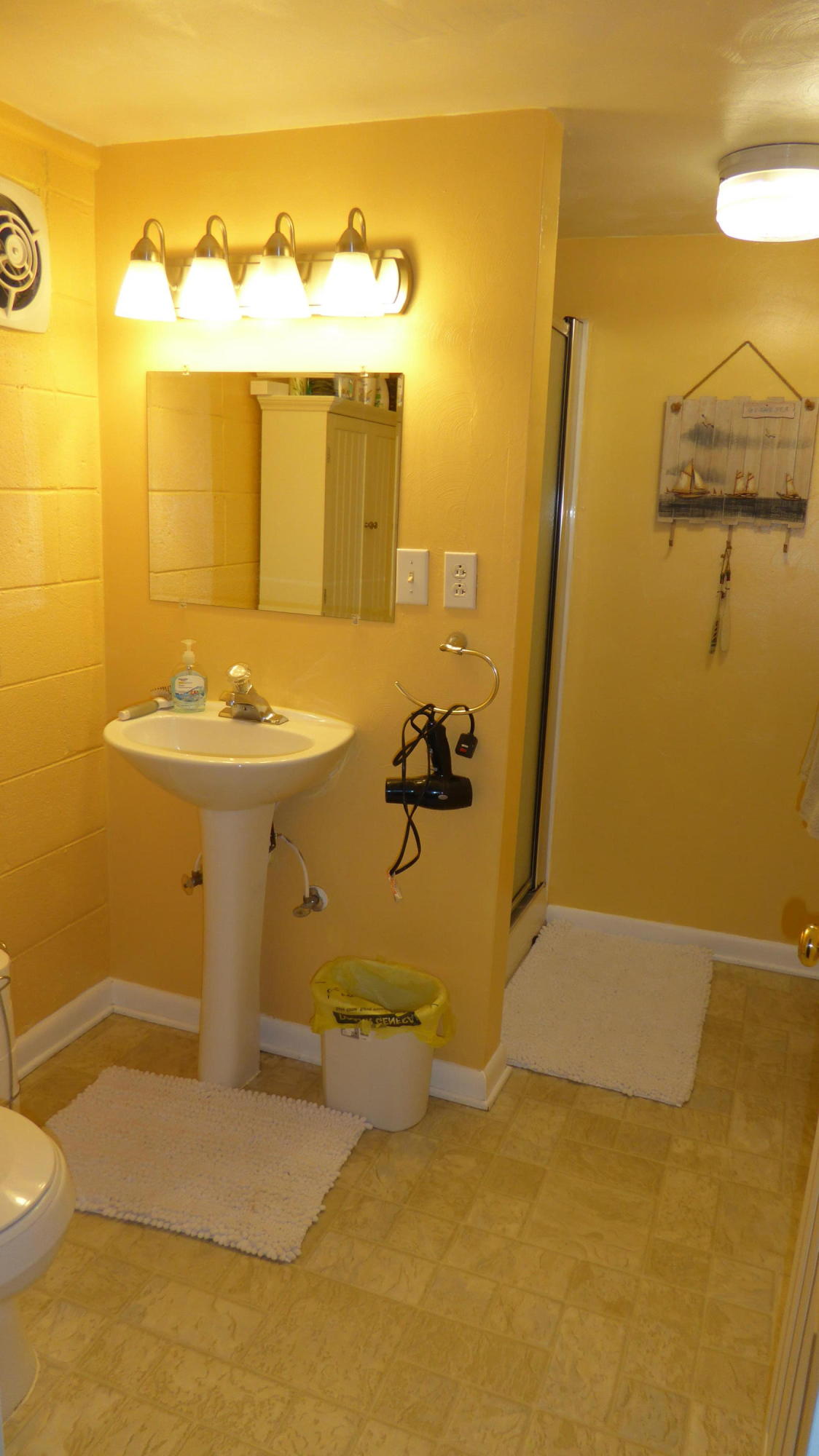 713 Red Valley Road Boones Mill, VA 24065 - Photo 12 of 36 12 Lower Level Master Bath