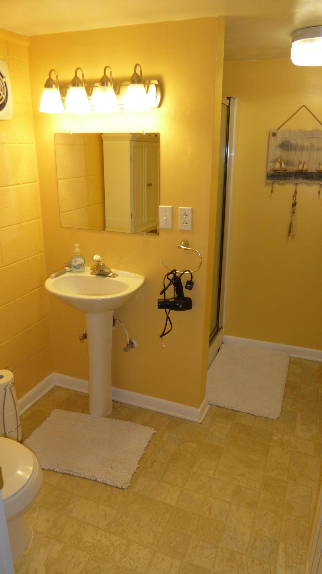 713 Red Valley Road Boones Mill, VA 24065 - Photo 32 of 36 32 Lower Level Master Bath