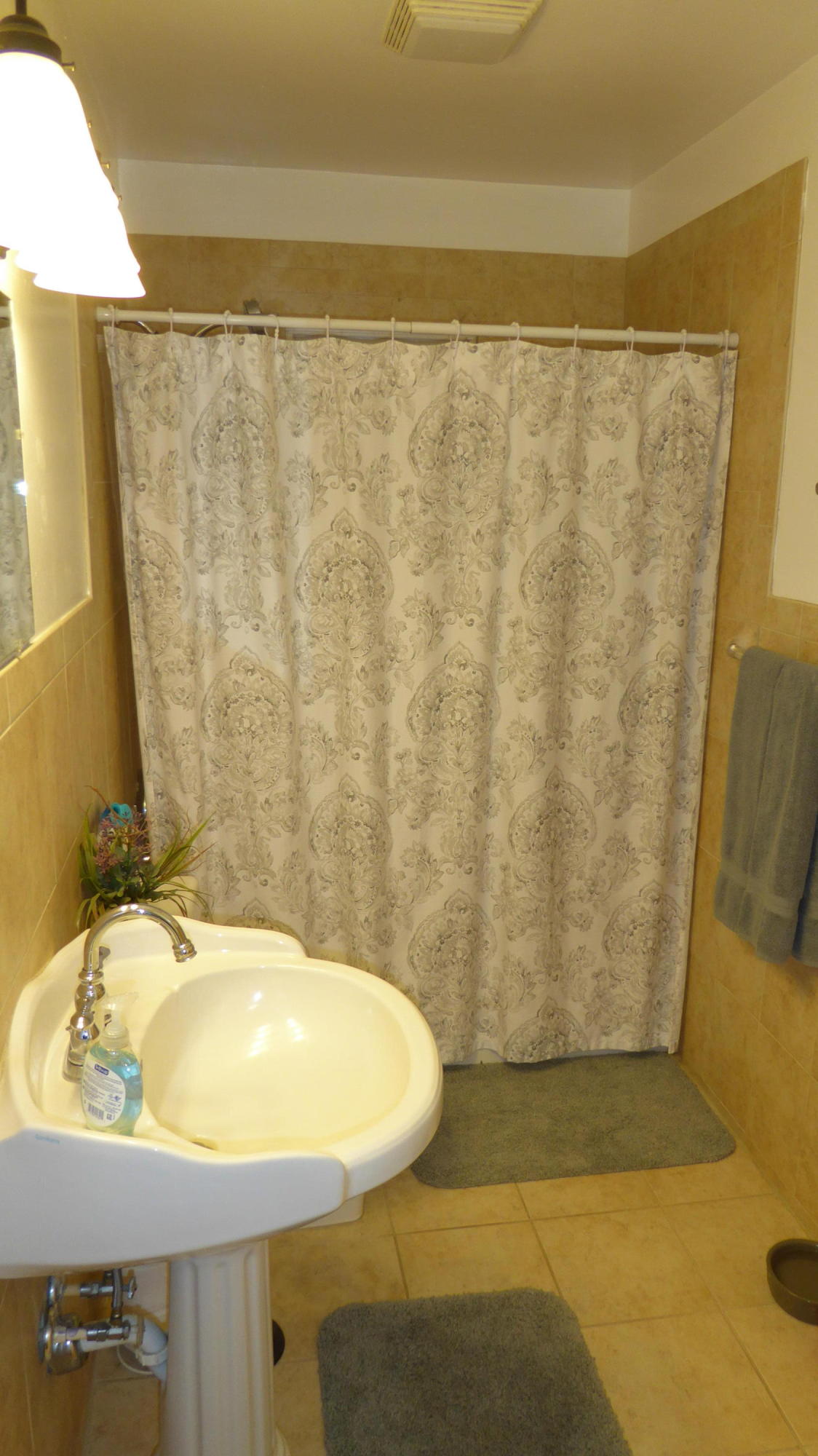 713 Red Valley Road Boones Mill, VA 24065 - Photo 7 of 36 7 Hall Bath