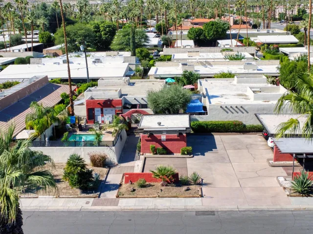 a view of a yard with plants and trees