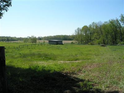 11771 Flowerfield Road Marcellus, MI 49067 - Photo 8 of 13 Additional Photo