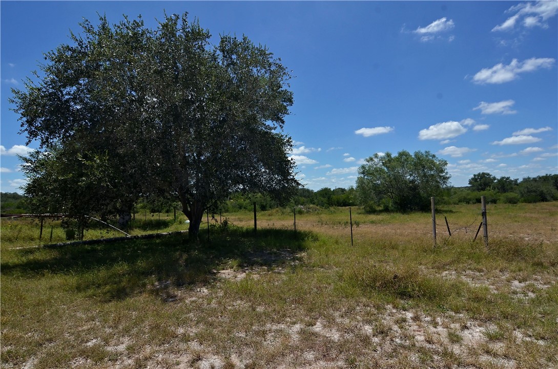 1641 Charco Road Beeville, TX 78102 - Photo 8 of 27