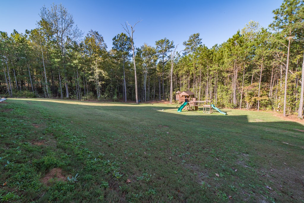 196 Ross Road Waverly Hall, GA 31831 - Photo 45 of 47 2.33 acres