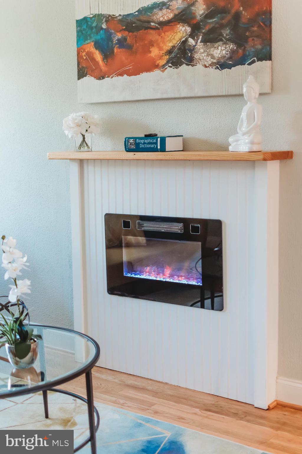 4539 Manorview Road Baltimore, MD 21229 - Photo 3 of 23 Check out this LED color changing fireplace!