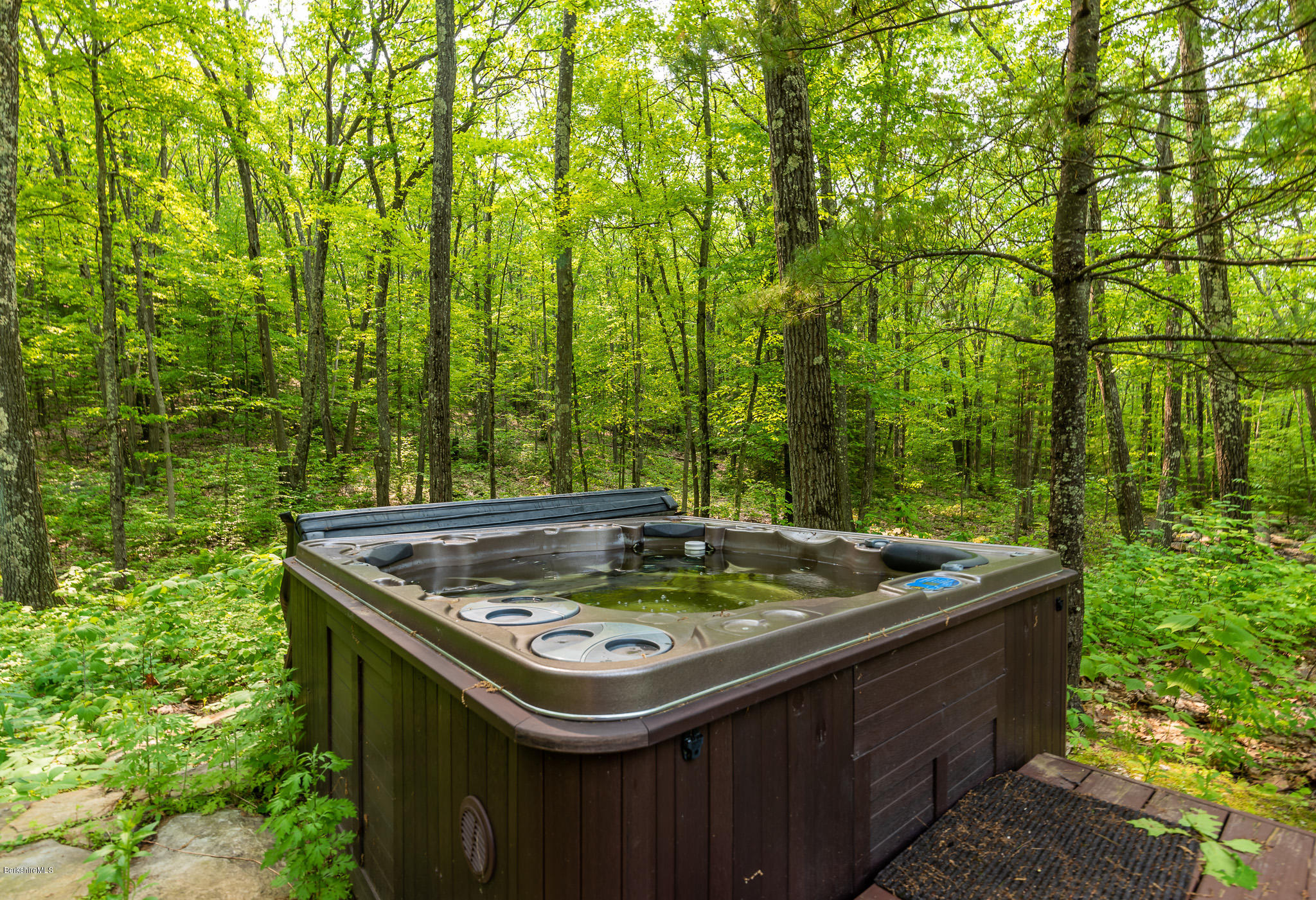 9 Monument Valley Road Great Barrington, MA 01230 - Photo 25 of 30 HOT TUB