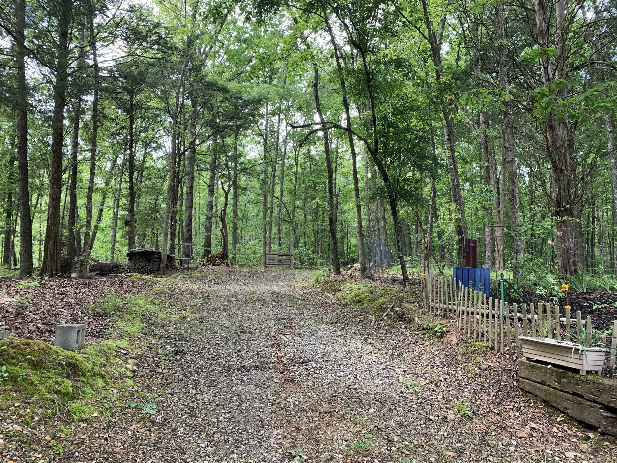 873 Coon Creek Road Dickson, TN 37055 - Photo 4 of 37 a backyard of a house with lots of green space