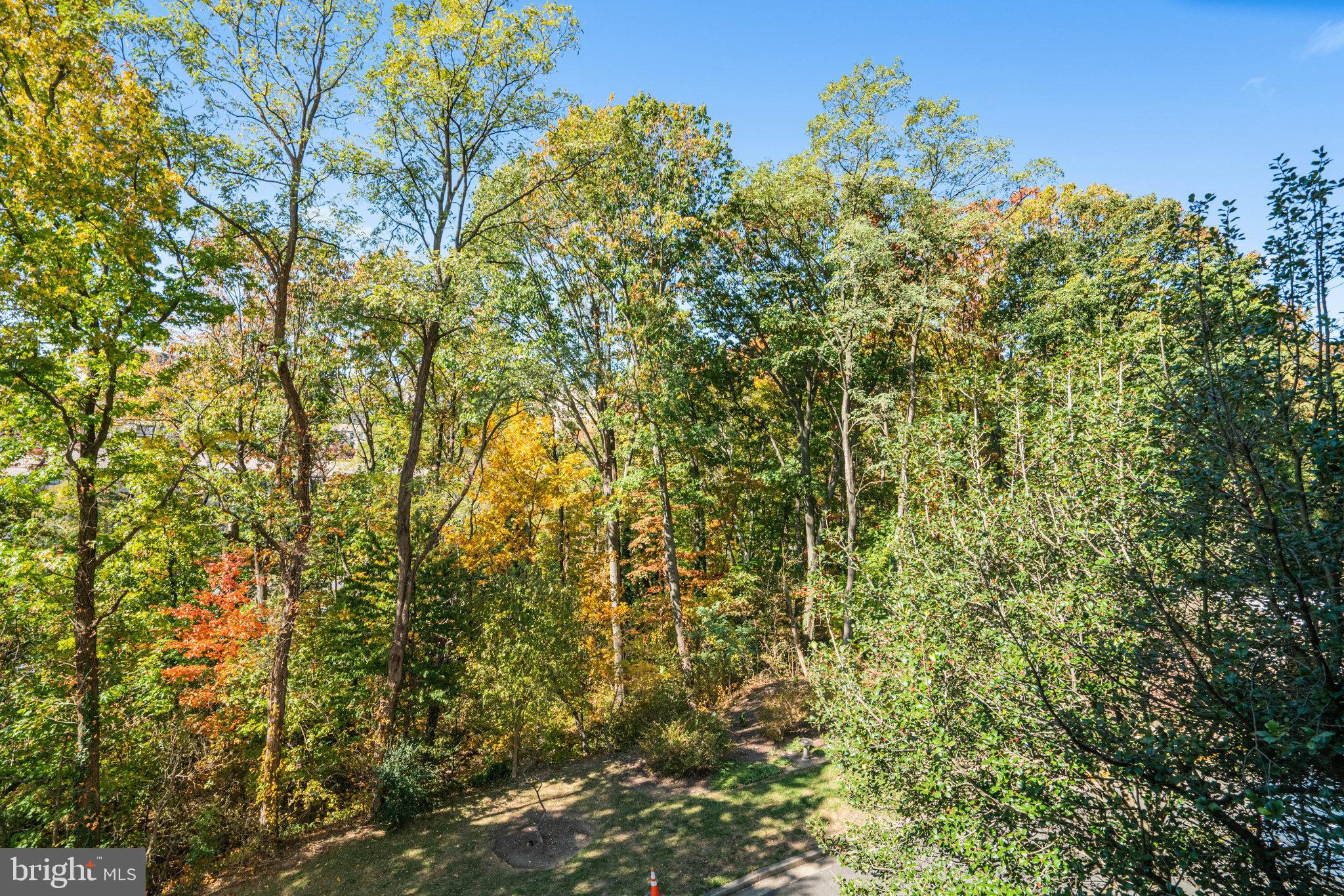 6101 Edsall Road, Unit 312 Alexandria, VA 22304 - Photo 32 of 57 View From Balcony