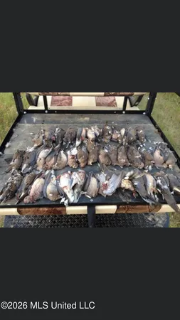 $1,650,000 | 1549 County Road 99, Sidon, MS 38954