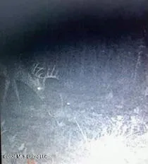 $1,650,000 | 1549 County Road 99, Sidon, MS 38954