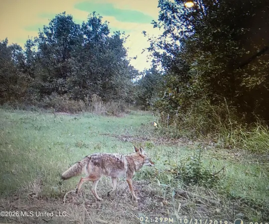 $1,650,000 | 1549 County Road 99, Sidon, MS 38954