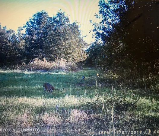 $1,650,000 | 1549 County Road 99, Sidon, MS 38954