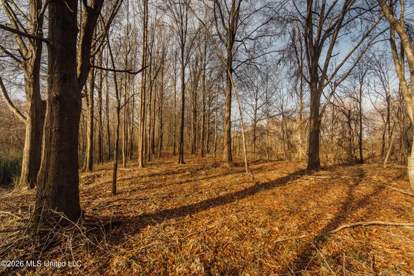 $1,650,000 | 1549 County Road 99, Sidon, MS 38954