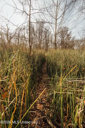 $1,650,000 | 1549 County Road 99, Sidon, MS 38954