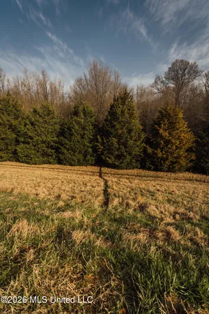 $1,650,000 | 1549 County Road 99, Sidon, MS 38954