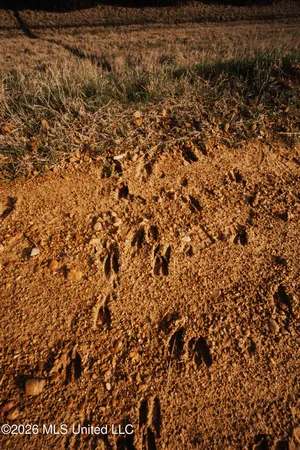 $1,650,000 | 1549 County Road 99, Sidon, MS 38954