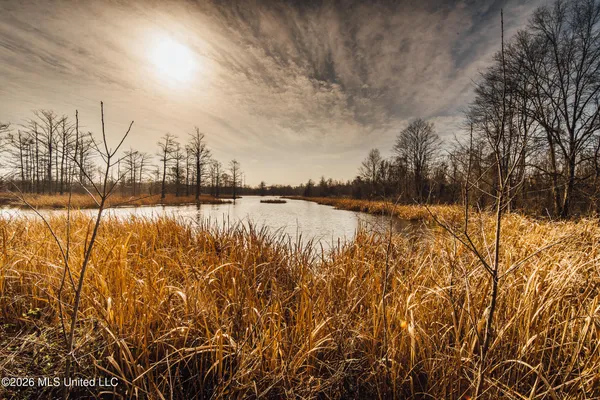 $1,650,000 | 1549 County Road 99, Sidon, MS 38954